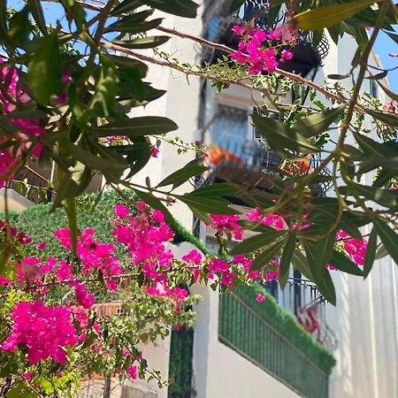 Deniz 61 Hotel Bodrum